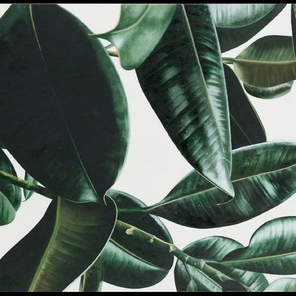 Meet your Posher, Aleks - Picture 1 of 1